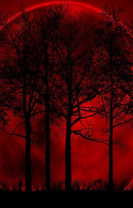 Луна над «Красными деревьями»