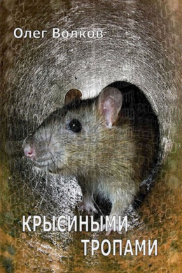 Крысиными тропами (СИ)