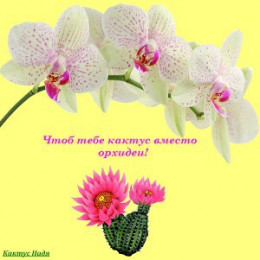 Чтоб тебе кактус вместо орхидеи! (СИ)