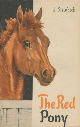 Рыжий пони: сборник