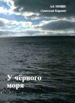 У чёрного моря